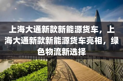 上海大通新款新能源货车，上海大通新款新能源货车亮相，绿色物流新选择