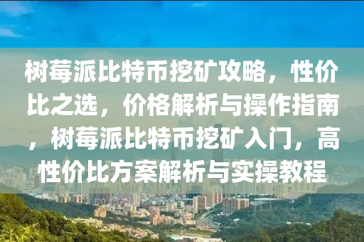 树莓派比特币挖矿攻略，性价比之选，价格解析与操作指南，树莓派比特币挖矿入门，高性价比方案解析与实操教程