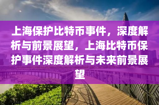 上海保护比特币事件，深度解析与前景展望，上海比特币保护事件深度解析与未来前景展望