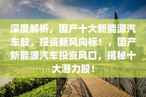 深度解析，国产十大新能源汽车股，投资新风向标！，国产新能源汽车投资风口，揭秘十大潜力股！