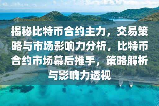 揭秘比特币合约主力，交易策略与市场影响力分析，比特币合约市场幕后推手，策略解析与影响力透视