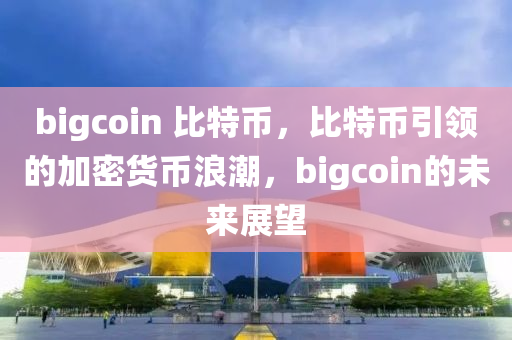 bigcoin 比特币，比特币引领的加密货币浪潮，bigcoin的未来展望