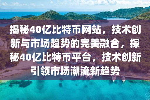 揭秘40亿比特币网站，技术创新与市场趋势的完美融合，探秘40亿比特币平台，技术创新引领市场潮流新趋势