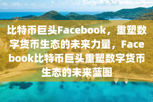 比特币巨头Facebook，重塑数字货币生态的未来力量，Facebook比特币巨头重塑数字货币生态的未来蓝图