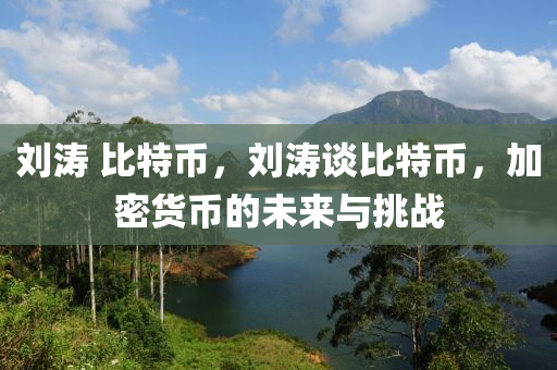 刘涛 比特币，刘涛谈比特币，加密货币的未来与挑战