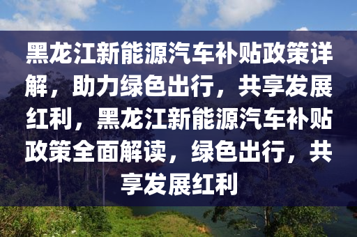 黑龙江新能源汽车补贴政策详解，助力绿色出行，共享发展红利，黑龙江新能源汽车补贴政策全面解读，绿色出行，共享发展红利