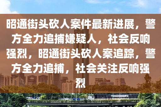 昭通街头砍人案件最新进展，警方全力追捕嫌疑人，社会反响强烈，昭通街头砍人案追踪，警方全力追捕，社会关注反响强烈