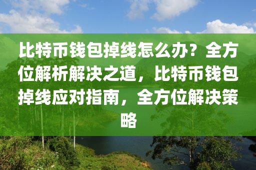 比特币钱包掉线怎么办？全方位解析解决之道，比特币钱包掉线应对指南，全方位解决策略