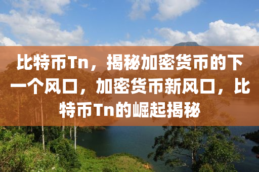 比特币Tn，揭秘加密货币的下一个风口，加密货币新风口，比特币Tn的崛起揭秘