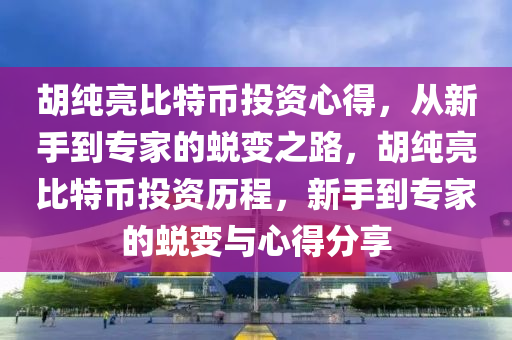 胡纯亮比特币投资心得，从新手到专家的蜕变之路，胡纯亮比特币投资历程，新手到专家的蜕变与心得分享