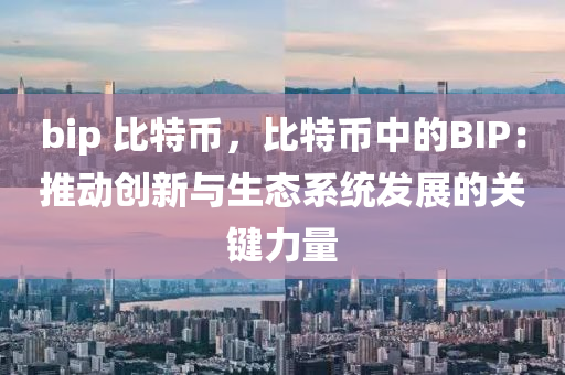 bip 比特币，比特币中的BIP：推动创新与生态系统发展的关键力量