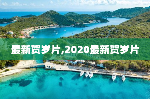 最新贺岁片,2020最新贺岁片