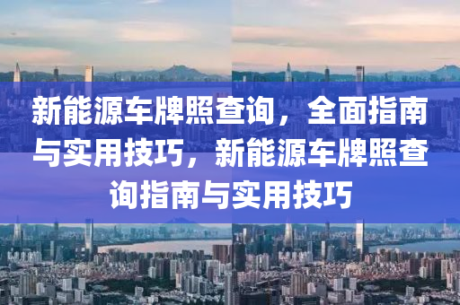 新能源车牌照查询，全面指南与实用技巧，新能源车牌照查询指南与实用技巧