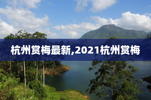 杭州赏梅最新,2021杭州赏梅