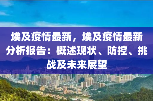 埃及疫情最新，埃及疫情最新分析报告：概述现状、防控、挑战及未来展望