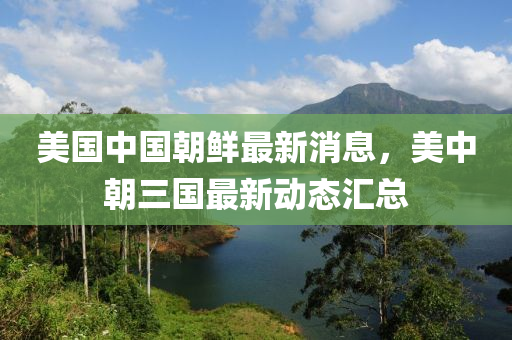 美国中国朝鲜最新消息，美中朝三国最新动态汇总