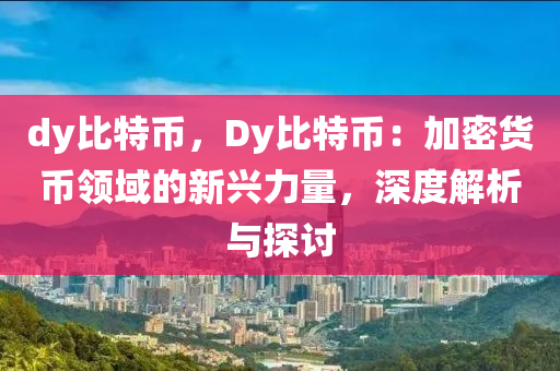 dy比特币，Dy比特币：加密货币领域的新兴力量，深度解析与探讨