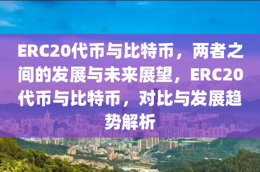 ERC20代币与比特币，两者之间的发展与未来展望，ERC20代币与比特币，对比与发展趋势解析