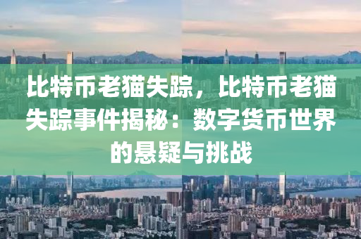 比特币老猫失踪，比特币老猫失踪事件揭秘：数字货币世界的悬疑与挑战