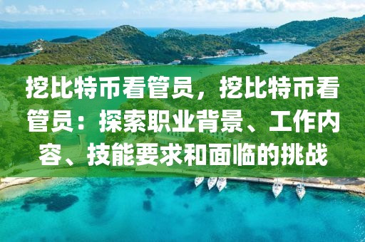 挖比特币看管员，挖比特币看管员：探索职业背景、工作内容、技能要求和面临的挑战