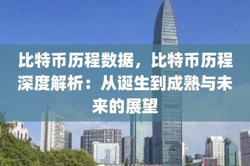 比特币历程数据，比特币历程深度解析：从诞生到成熟与未来的展望