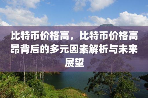 比特币价格高，比特币价格高昂背后的多元因素解析与未来展望