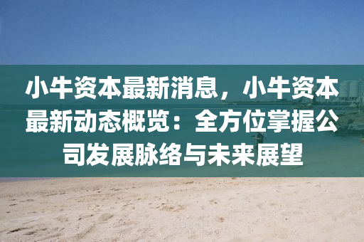 小牛资本最新消息，小牛资本最新动态概览：全方位掌握公司发展脉络与未来展望