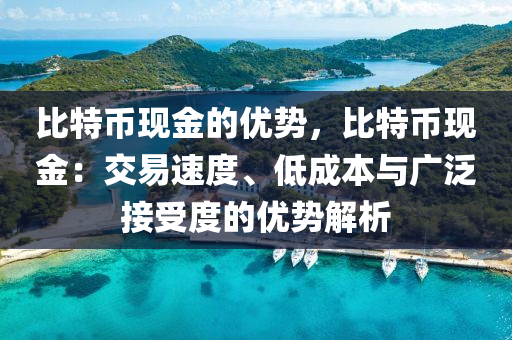 比特币现金的优势，比特币现金：交易速度、低成本与广泛接受度的优势解析