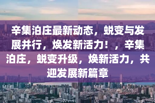 辛集泊庄最新动态，蜕变与发展并行，焕发新活力！，辛集泊庄，蜕变升级，焕新活力，共迎发展新篇章