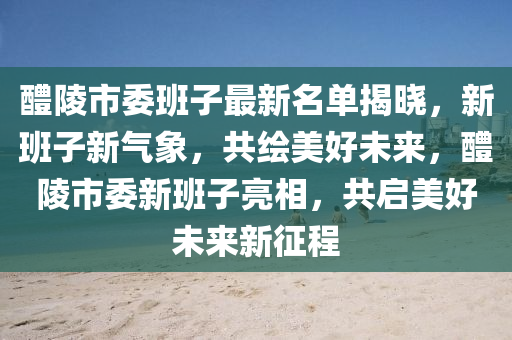 醴陵市委班子最新名单揭晓，新班子新气象，共绘美好未来，醴陵市委新班子亮相，共启美好未来新征程