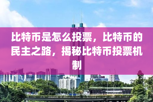 比特币是怎么投票，比特币的民主之路，揭秘比特币投票机制