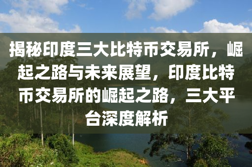 揭秘印度三大比特币交易所，崛起之路与未来展望，印度比特币交易所的崛起之路，三大平台深度解析