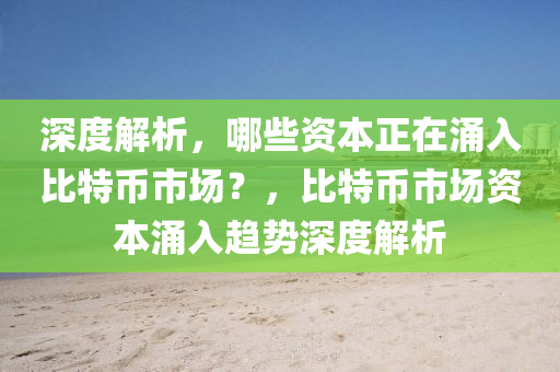 深度解析，哪些资本正在涌入比特币市场？，比特币市场资本涌入趋势深度解析