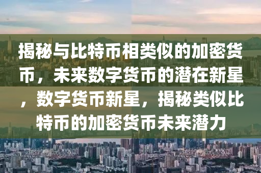 揭秘与比特币相类似的加密货币，未来数字货币的潜在新星，数字货币新星，揭秘类似比特币的加密货币未来潜力