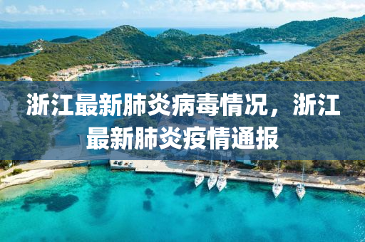 浙江最新肺炎病毒情况，浙江最新肺炎疫情通报