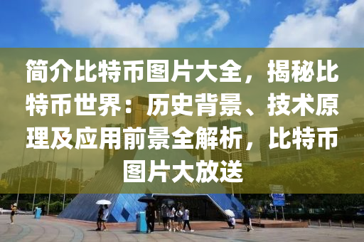 简介比特币图片大全，揭秘比特币世界：历史背景、技术原理及应用前景全解析，比特币图片大放送