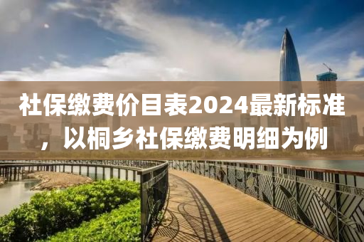 社保缴费价目表2024最新标准，以桐乡社保缴费明细为例