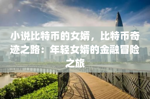 小说比特币的女婿，比特币奇迹之路：年轻女婿的金融冒险之旅