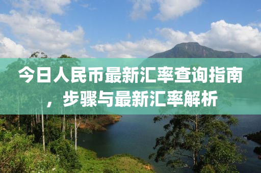 今日人民币最新汇率查询指南，步骤与最新汇率解析