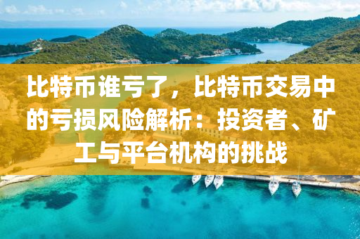 比特币谁亏了，比特币交易中的亏损风险解析：投资者、矿工与平台机构的挑战