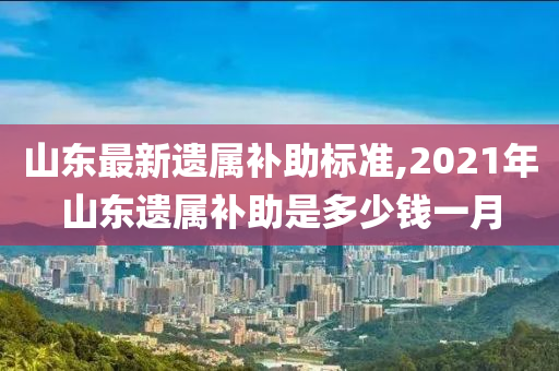 山东最新遗属补助标准,2021年山东遗属补助是多少钱一月