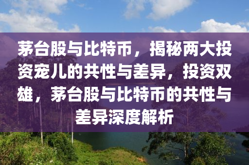 茅台股与比特币，揭秘两大投资宠儿的共性与差异，投资双雄，茅台股与比特币的共性与差异深度解析