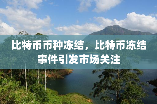 比特币币种冻结，比特币冻结事件引发市场关注