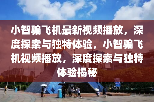 小智骗飞机最新视频播放，深度探索与独特体验，小智骗飞机视频播放，深度探索与独特体验揭秘