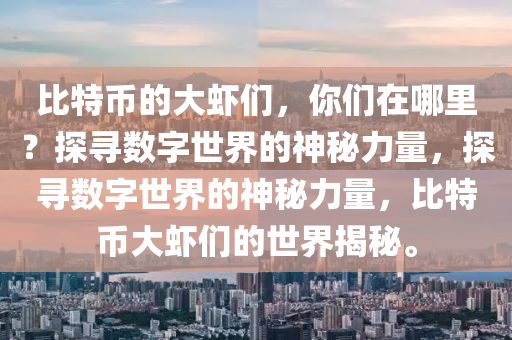 比特币的大虾们，你们在哪里？探寻数字世界的神秘力量，探寻数字世界的神秘力量，比特币大虾们的世界揭秘。