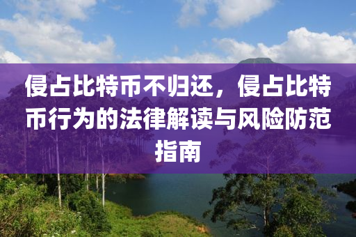 侵占比特币不归还，侵占比特币行为的法律解读与风险防范指南