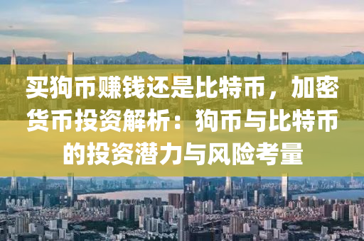 买狗币赚钱还是比特币，加密货币投资解析：狗币与比特币的投资潜力与风险考量