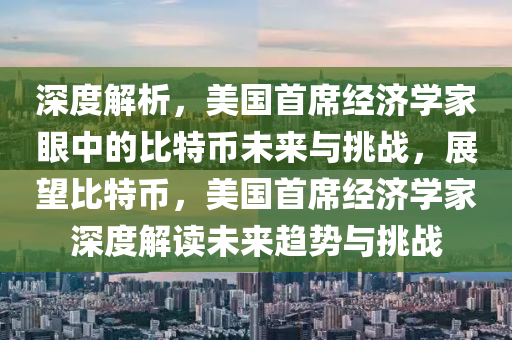 深度解析，美国首席经济学家眼中的比特币未来与挑战，展望比特币，美国首席经济学家深度解读未来趋势与挑战