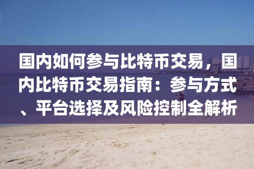 国内如何参与比特币交易，国内比特币交易指南：参与方式、平台选择及风险控制全解析