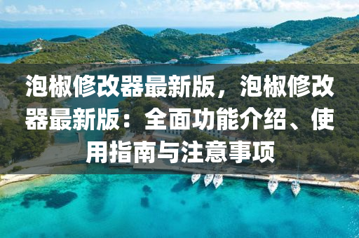 泡椒修改器最新版，泡椒修改器最新版：全面功能介绍、使用指南与注意事项